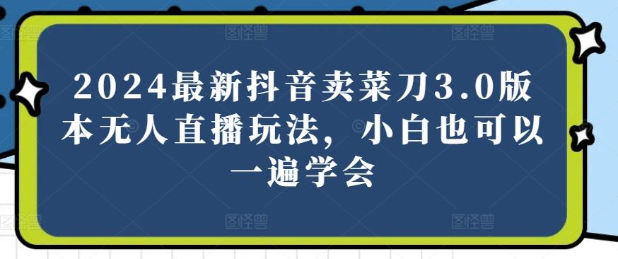 2024最新抖音卖菜刀3.0版本无人直播玩法，小白也可以一遍学会【揭秘】-创新Ovo