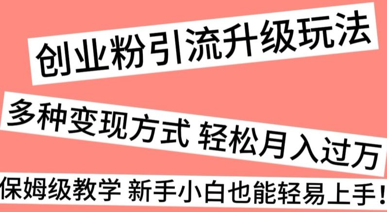 创业粉引流升级玩法，多种变现方式轻松月入过万，保姆级教学新手小白也能轻易上手！-创新Ovo