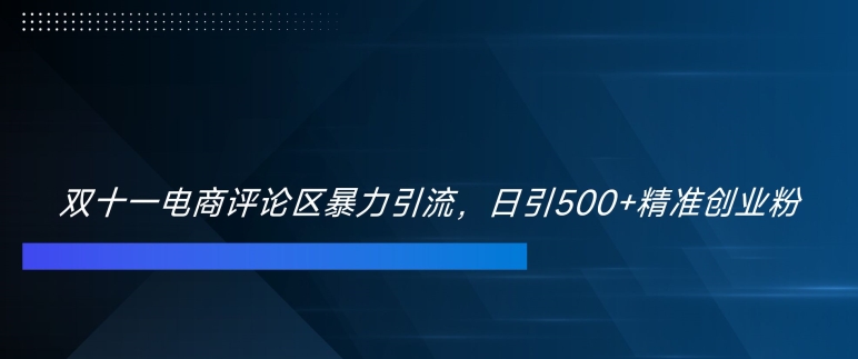 双十一电商评论区暴力引流，日引500+精准创业粉【揭秘】-创新Ovo
