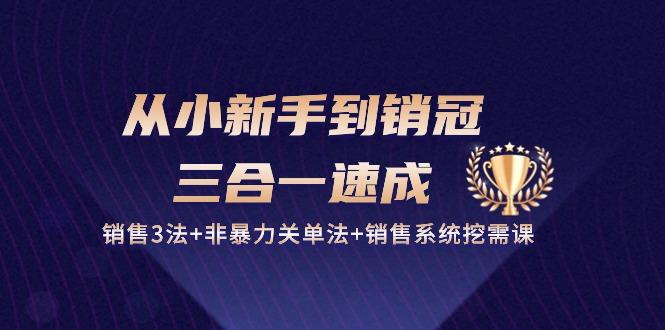 从小新手到销冠 三合一速成：销售3法+非暴力关单法+销售系统挖需课 (27节-创新Ovo