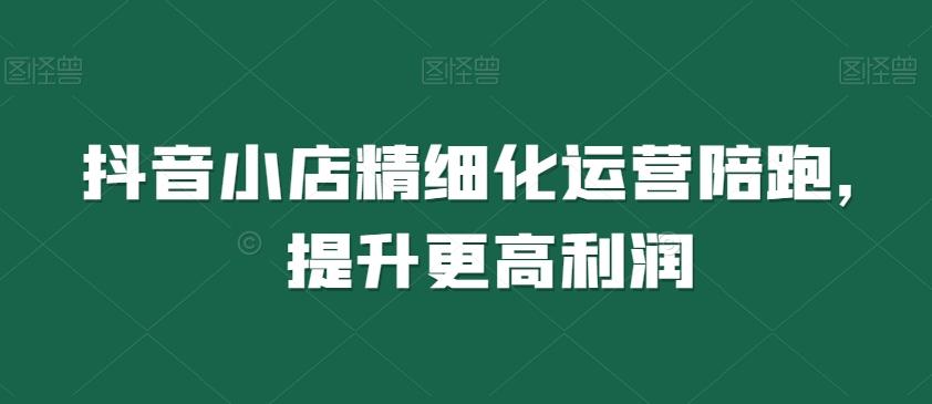 抖音小店精细化运营陪跑，提升更高利润-创新Ovo