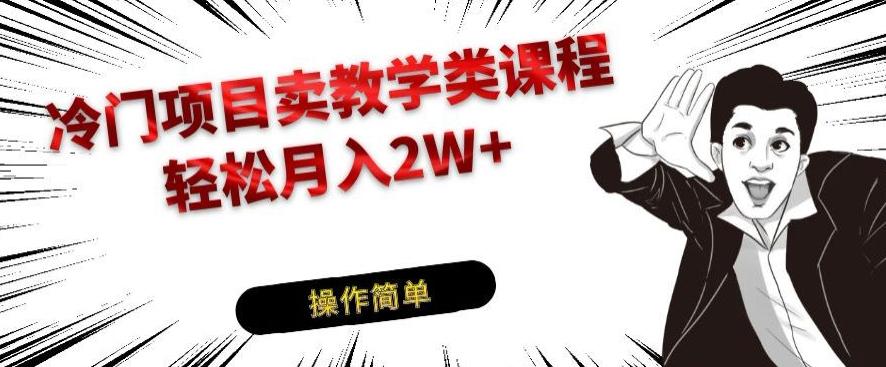 冷门项目卖教学类课程，轻松月入2W+-创新Ovo