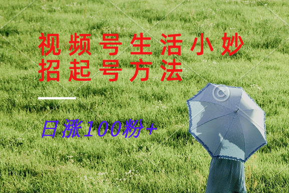 视频号生活小妙招分享赛道， 起号涨粉新方法，日涨100粉-创新Ovo