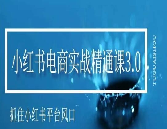 小红书电商实战精通课3.0，抓住小红书平台的风口，不错过有一个赚钱的机会-创新Ovo