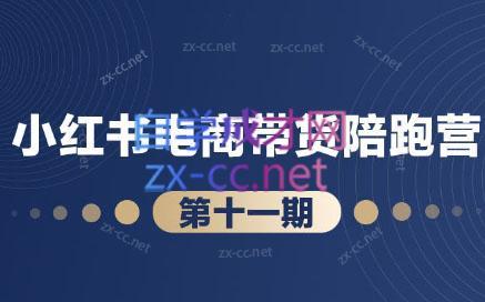 盗坤·小红书电商带货陪跑营(第十一期)-创新Ovo