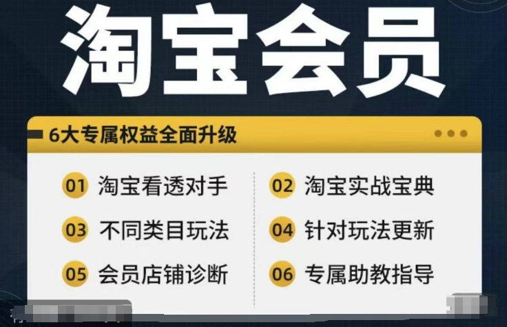 淘宝会员【淘宝所有课程，全面分析对手】，初级到高手全系实战宝典-创新Ovo