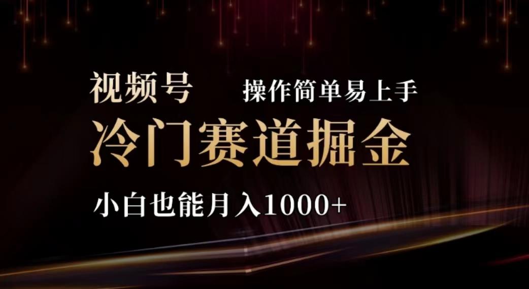 2024视频号冷门赛道掘金，操作简单轻松上手，小白也能月入1000+-创新Ovo
