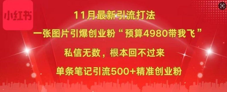 小红书11月最新图片打粉，一张图片引爆创业粉，“预算4980带我飞”，单条引流500+精准创业粉-创新Ovo