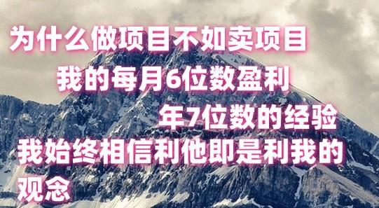 做项目不如卖项目，每月6位数盈利，年7位数经验-创新Ovo