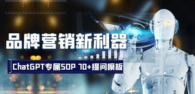 品牌营销新利器：ChatGPT专属SOP，70+提问模板【文档】-创新Ovo