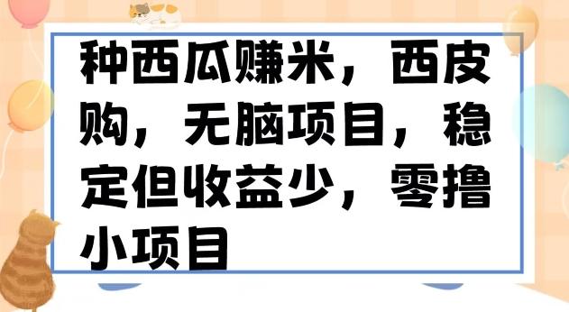 种西瓜赚米，西皮购稳定长久零撸小项目-创新Ovo