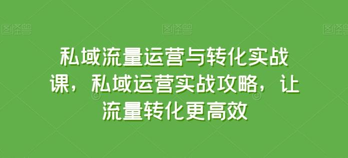 私域流量运营与转化实战课，私域运营实战攻略，让流量转化更高效-创新Ovo