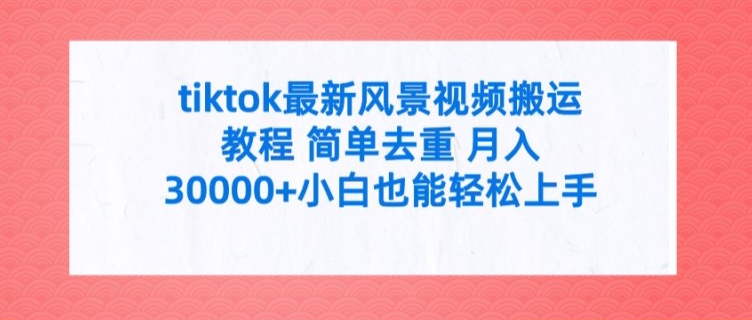 tiktok最新风景视频搬运教程 简单去重 月入3W+小白也能轻松上手【揭秘】-创新Ovo