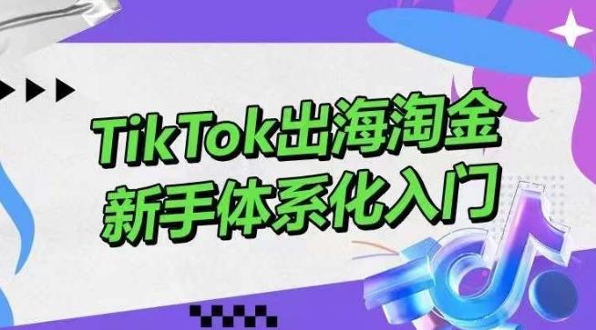 TikTok出海淘金，新手体系化入门，零基础快速入门，掌握短视频、直播带货等引流到变现的知识-创新Ovo