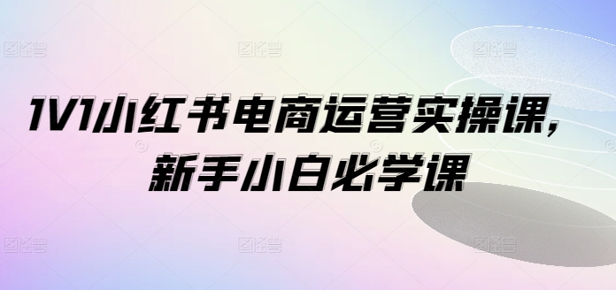 1V1小红书电商运营实操课，新手小白必学课-创新Ovo
