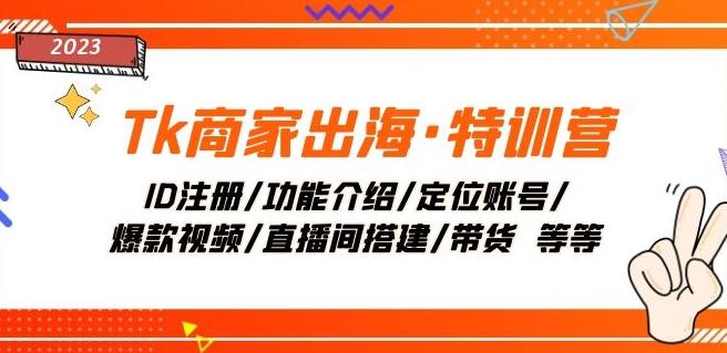 Tk商家出海·特训营：ID注册/功能介绍/定位账号/爆款视频/直播间搭建/带货-创新Ovo
