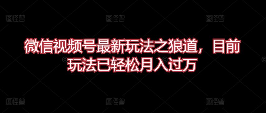 微信视频号最新玩法之狼道，目前玩法已轻松月入过万【揭秘】-创新Ovo