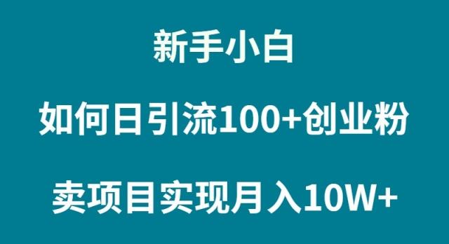 (9556期)新手小白如何通过卖项目实现月入10W+-创新Ovo