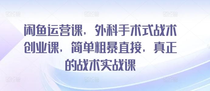 闲鱼运营课，外科手术式战术创业课，简单粗暴直接，真正的战术实战课-创新Ovo