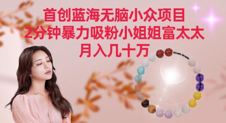 首创蓝海无脑小众项目，2分钟暴力吸粉小姐姐富太太，月入几十万【揭秘】-创新Ovo