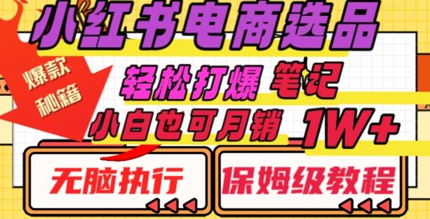 小红书电商爆款选品秘籍，帮你轻松打爆笔记，小白也可轻松月销10000+-创新Ovo