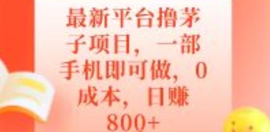 最新平台撸茅子项目，一部手机即可做，0成本，日赚800+-创新Ovo