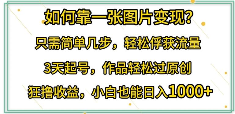 如何靠一张图片变现?只需简单几步，轻松俘获流量，3天起号，作品轻松过原创【揭秘】-创新Ovo