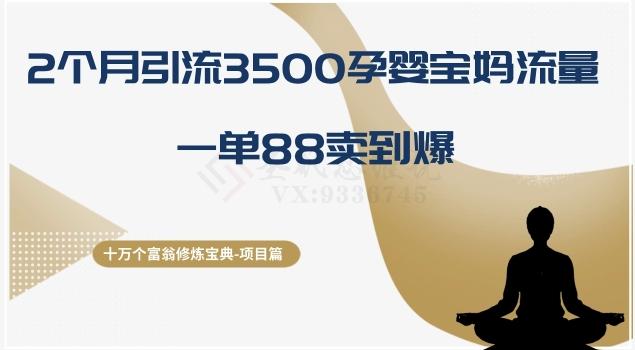 十万个富翁修炼宝典之13.2个月引流3500孕婴宝妈流量，一单88卖到爆-创新Ovo