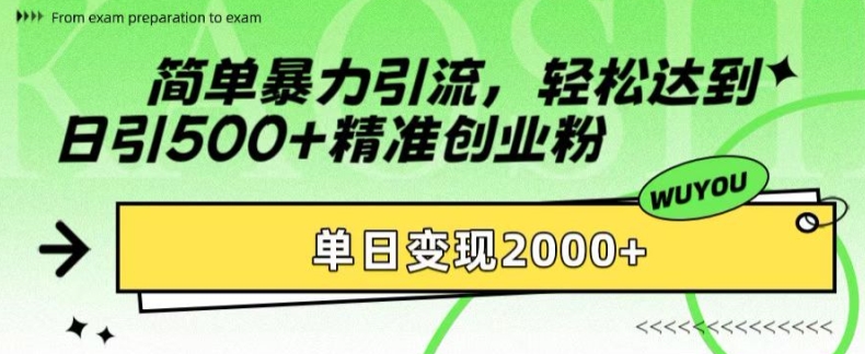 简单暴力引流，轻松达到日引500+精准创业粉，单日变现2k【揭秘】-创新Ovo
