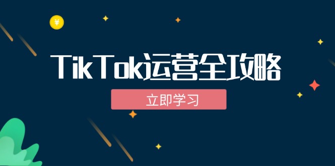 TikTok实战运营全攻略：从下载软件到变现，抖音海外版实操教程-创新Ovo