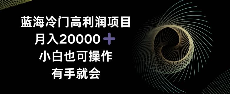 蓝海冷门高利润项目月入2000，小白也可操作有手就会-创新Ovo